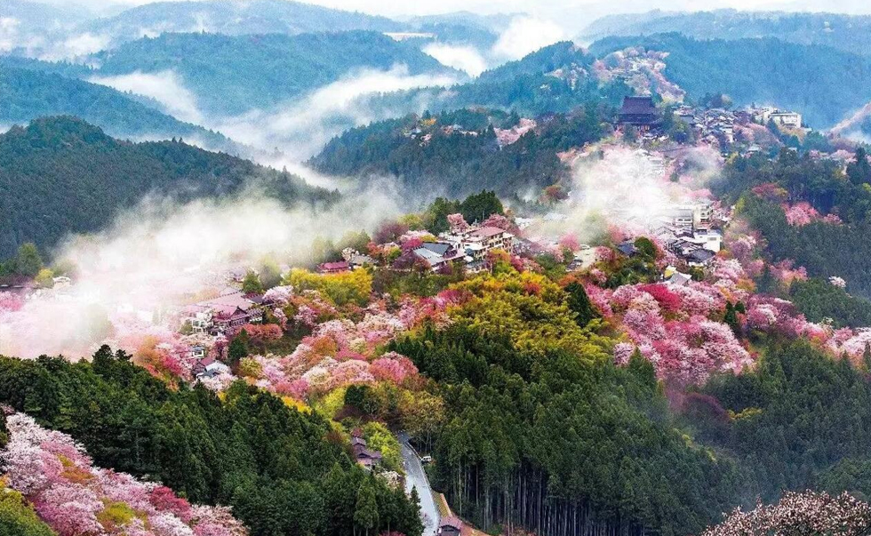 吉野山 吉野山