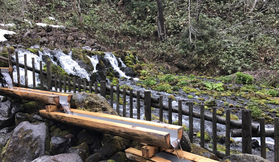 羊蹄山名水公园2